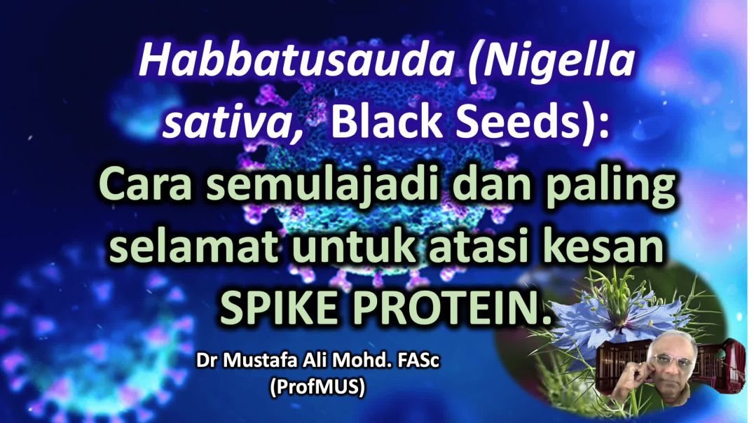 Habbatusauda and spike proteins