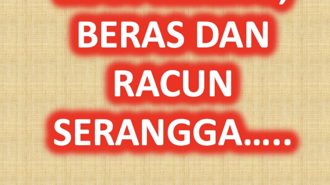 ⁣Ikan kering, beras dan racun serangga