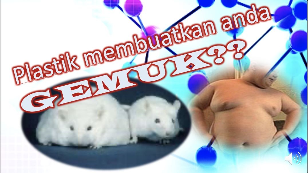 Plastik menyebabkan anda gemuk?