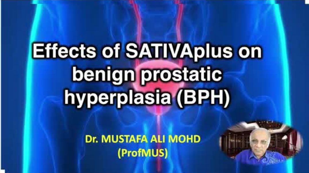 ⁣EFFECTS OF SATIVAPLUS ON BENIGN PROSTATIC HYPERPLASIA (BPH)