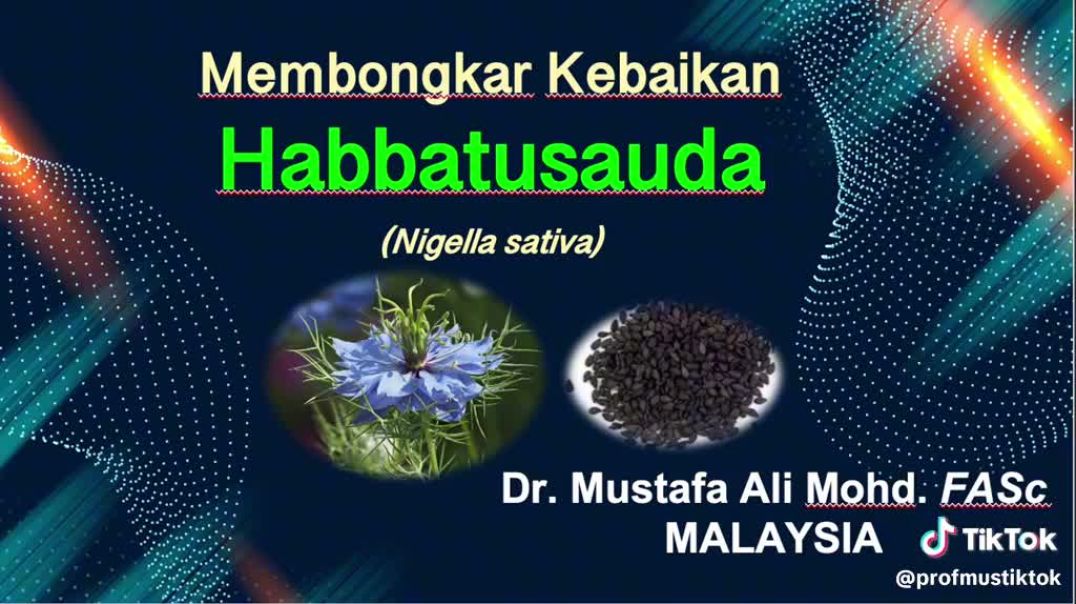 MEBONGKAR KEBAIKAN HABBATUSAUDA